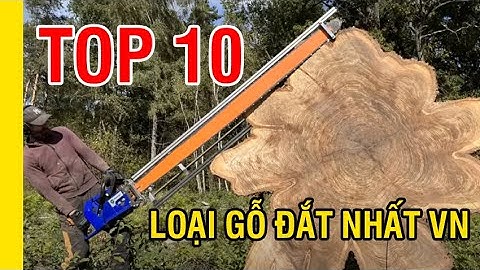 Top 10 loại gỗ quý đắt nhất Việt Nam "bán theo cân" - Mộc Hương Shop