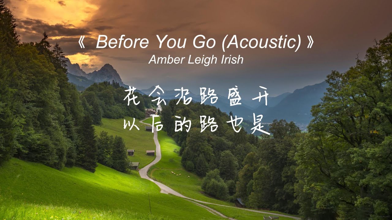 Before You Go - Amber Leigh Irish