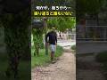 カモフラしてビニ袋チャレンジ!最後はバレて恐ろしい事に、、