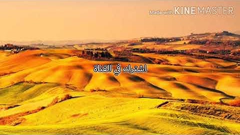 سورة الفاتحة بصوت قارئ يشبه صوت شيخ مشاري العفاسي