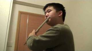 Song from a Secret Garden - flute cover