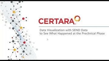 Data Visualization with SEND Data to See What Happened at the Preclinical Phase