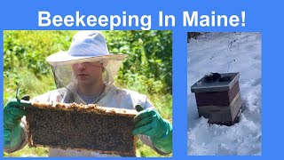 One Full Beekeeping Season in Maine Guide