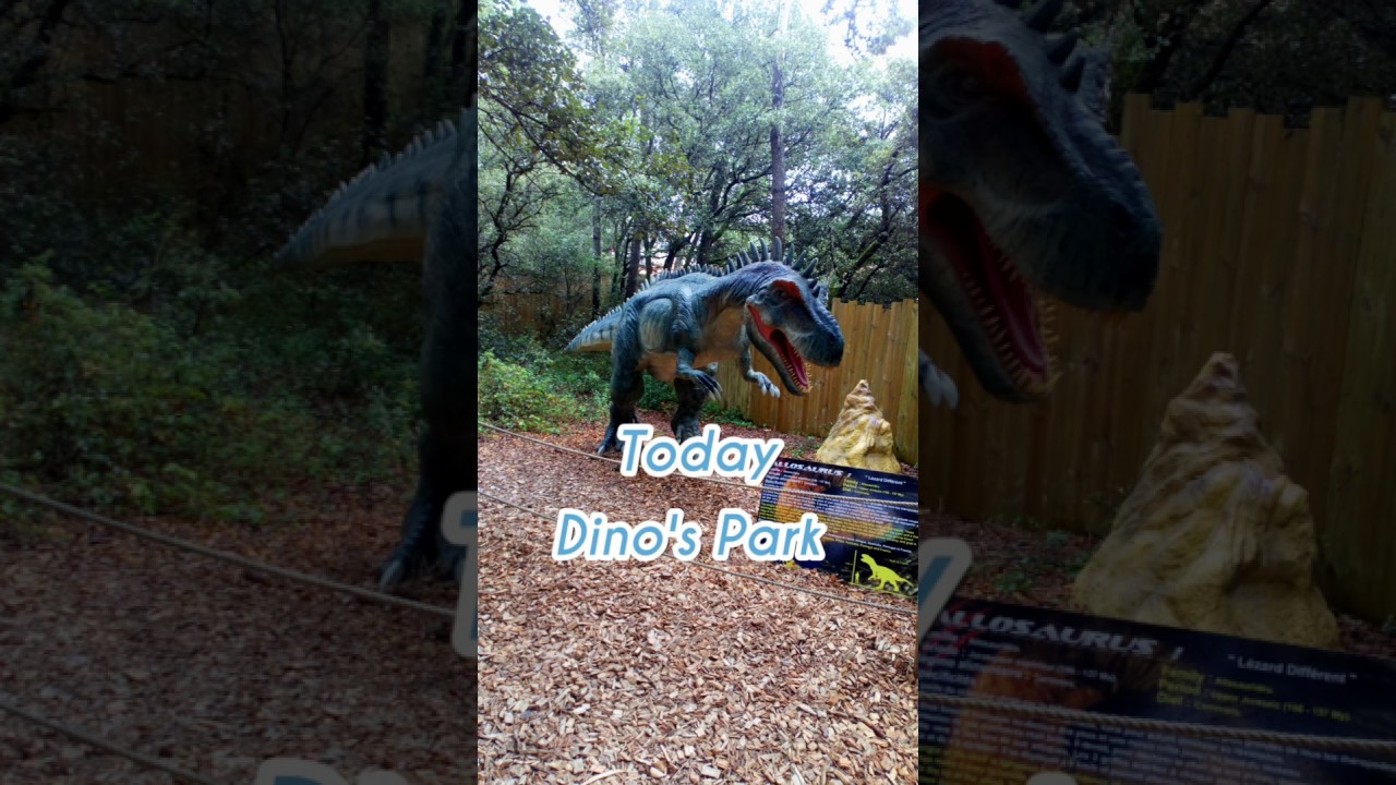 Tarif Dino Park Saint Hilaire De Riez