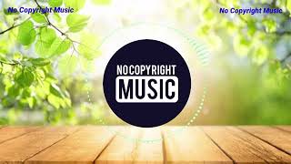 Summer - nights - tropical - house - music ( NCM Release )