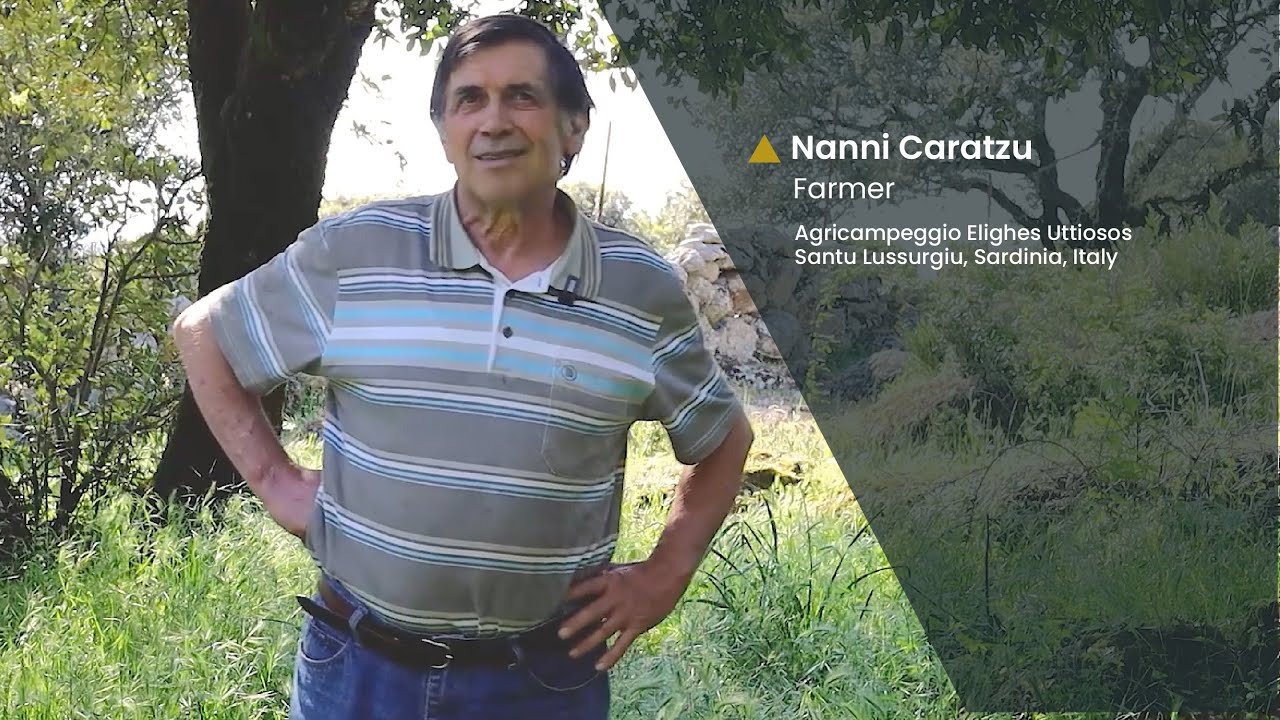 AGROMIX | Agroforestry in Sardinia, Italy