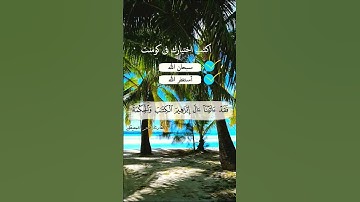 القران راحة النفسية 💙⚘️ماهر المعيقلي تلاوة مؤثرة بصوت جميل جدا حالات واتس اب دينية مؤثرة💙Quran ⚘️⚘️