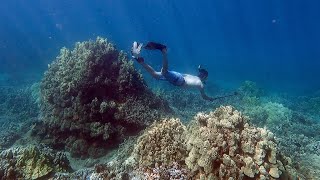 Kapalua Bay Snorkeling - Maui Hawaii