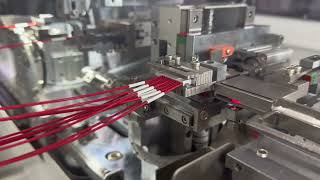 TYDC-B-B604 Dual-Head Tube Marking & Wire Harness Automation