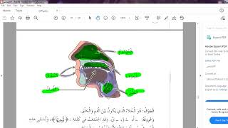 الصف السادس الدرس الرابع والعشرون مخرج الجوف