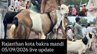 Rajasthan KOTA GOAT MARKET 09/05/2026 live update #rajasthan #kota #goatmarket #viralvideo #vlog