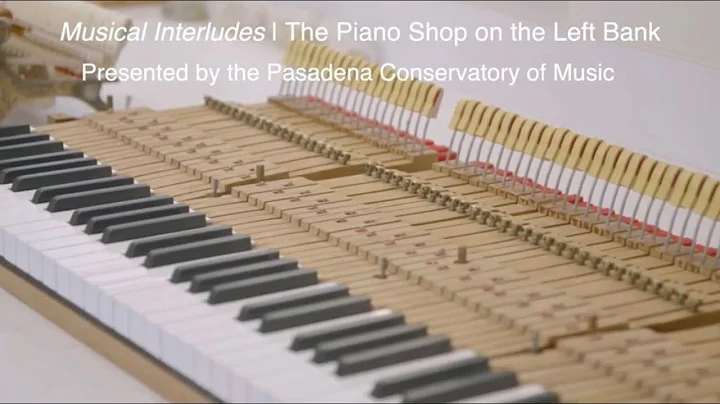 Musical Interludes | The Piano Shop on the Left Bank