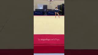 Lincroyable Sol De Aya