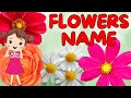 Learn Flowers [New] Name | Learn Flowers Name in English|Kids Vocabulary | English Educational Video