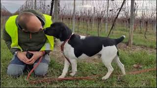 Wir vertrauen Miko und machen auch Blödsinn mit ihm :)