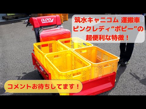 筑水キャニコム　ピンクレディ　運搬車 hqdefault.jpg