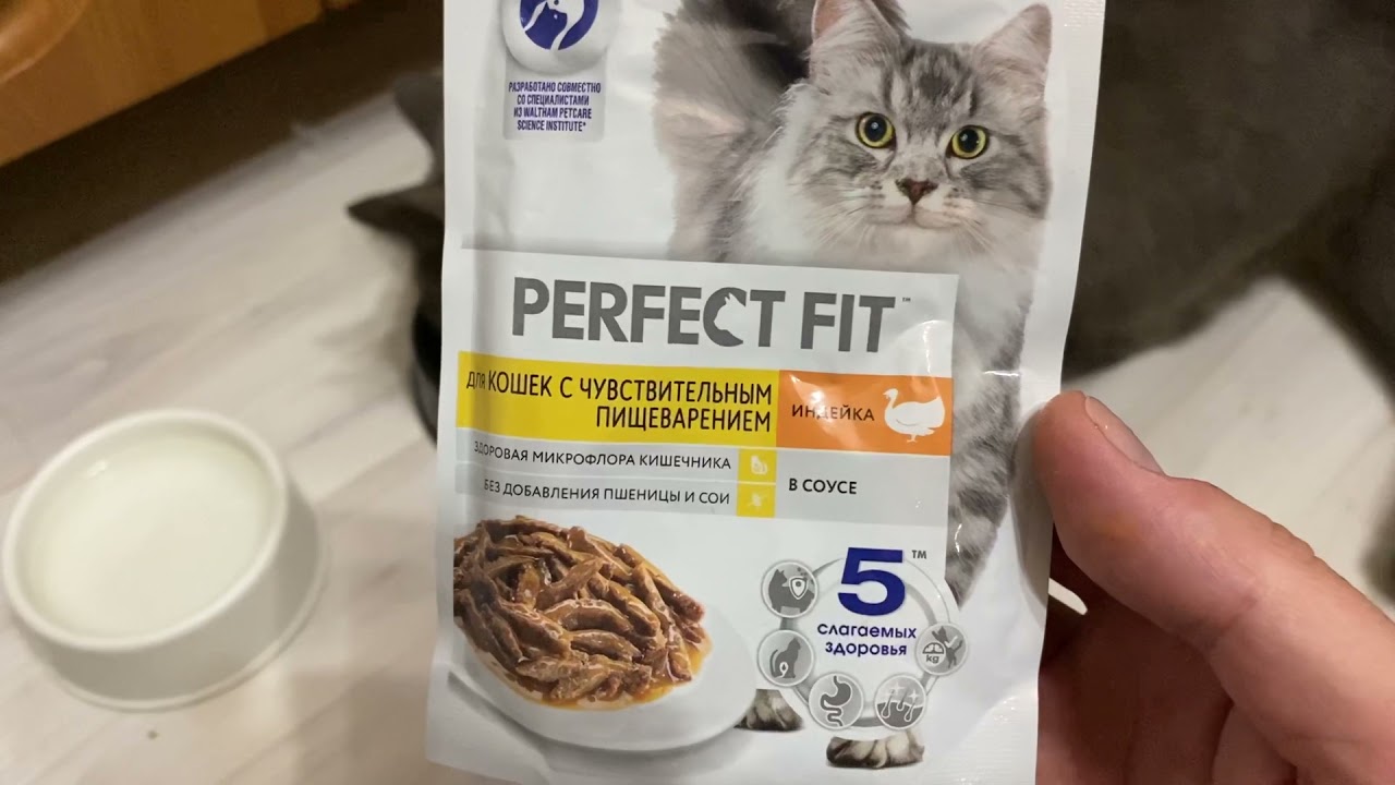Кошка пробует корм Perfect Fit