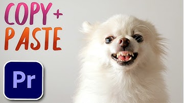 How to Copy and Paste Clips in Premiere Pro