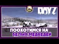 DayZ Охотимся на белых медведей и летаем на вертолете [RUS] FFA [PVE] Namalsk самоизоляция