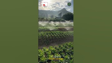 Remote Operated Sprinkler Irrigation System