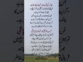 The Value of Sacrifice and the Truth of Life