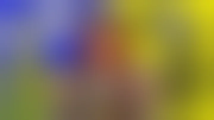 THCA vs THC: What's the Difference?