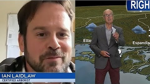 Climate Change in Northern Ontario Affecting Trees