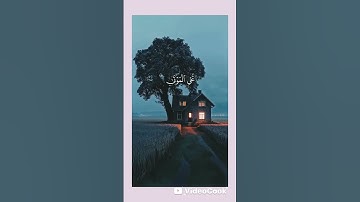 أكتب شئ تؤجر عليه ❤️🌼.                   #تلاوة_خاشعة