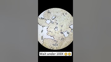 Beef at 400X magnification is really cool! #underthemicroscope #beefcut #science#shorts