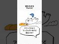 【猫あるある】スリッパによく頭や足をつっこんでるけど面白いの？