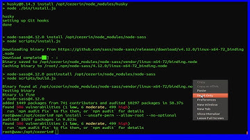 How To Install Cezerin eCommerce platform on Ubuntu 18.04 LTS With Apache2 Nodejs