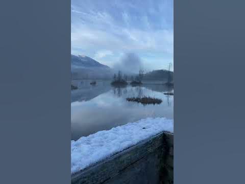 Snow and swans spring break 14 March 2025 BC 🇨🇦 ️💙 ️ YouTube