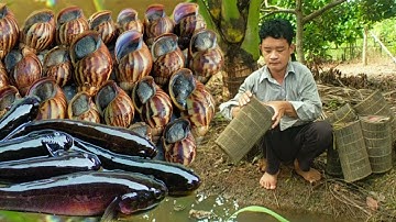 Lội ven sông đặt lợp cá bống dừa bằng ốc sên về kho tiêu ăn với cơm trắng sạch cơm hết gạo. goby