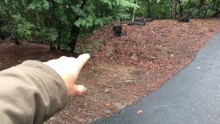 Type 1 Drainage Error - Double Fetch Compound Erosion