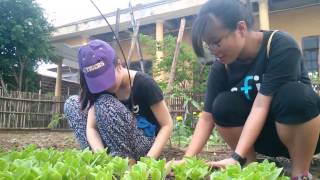[C\&E] - Finding Eco 2 Final Video