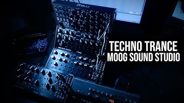 Techno Trance | Moog Mother-32 | Subharmonicon | DFAM (Tr-06)