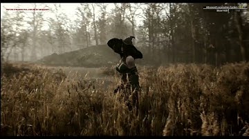 Witch Procedural Forest TEST