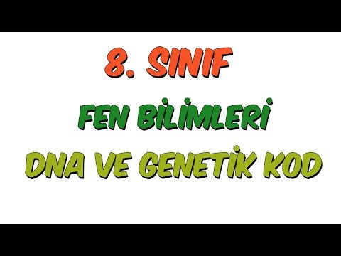 8. Sınıfa Hazırlık | Dna ve Genetik Kod