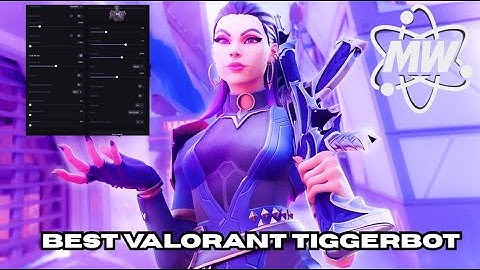 Best Valorant TriggerBot Showcase