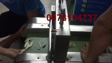 Máy cắt cùi bưởi, máy thái hạt lựu cùi bưởi nấu chè, máy cắt lát cùi bưởi làm mứt sấy JL660