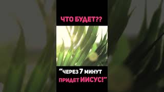 Сегодня! 7-8 октября Восхищение Церкви?