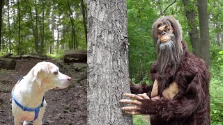 Dog Meets Bigfoot: Funny Dogs Maymo, Potpie & Penny vs Bigfoot Prank