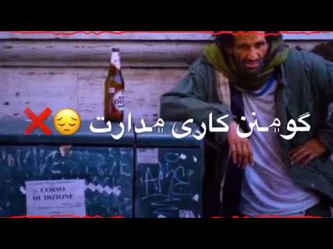 زانت من گنوکیون