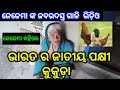  odia comedy natak mancha