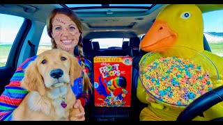 Rubber Ducky Surprises Chucky &amp; Golden Retriever With Car ride Chase!