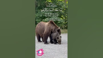 وما خلقنا السماء والأرض وما بينهما لاعبين | سورة الأنبياء #دعاء_ورسالة Surah Al-Anbiya