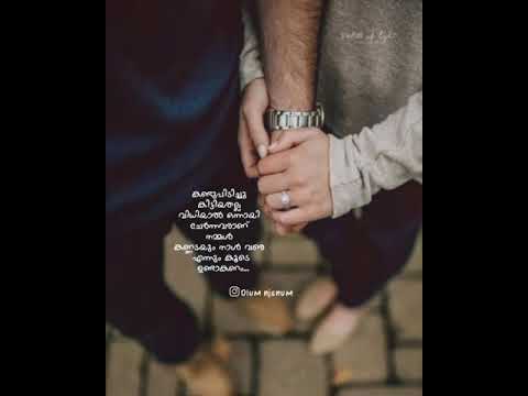 feel-the-music-|-new-whatsapp-status-|-love-4-bgm-#status-#malayalam-#bgm-#romantic