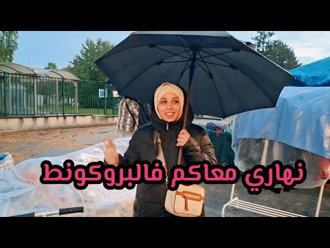 كي داز نهاري ف البروطونط أو كي كانت الأجواء