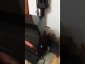 Kamin alfa plam-etaz