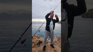 Tuna catch with bombardo back pipette.